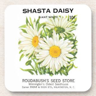 Vintage Seed Packet Art, Shasta Daisy Flowers Beverage Coaster