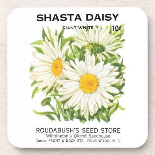 Vintage Seed Packet Art Shasta Daisy Flowers Beverage Coaster