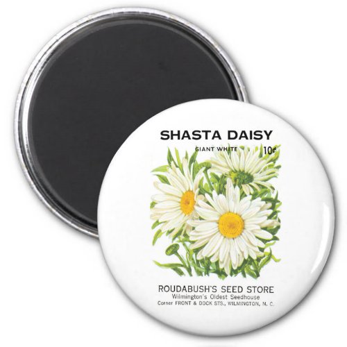 Vintage Seed Packet Art Shasta Daisy Flowers Magnet
