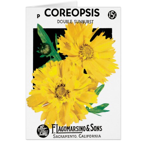 Vintage Seed Packet Art, Yellow Coreopsis Flowers