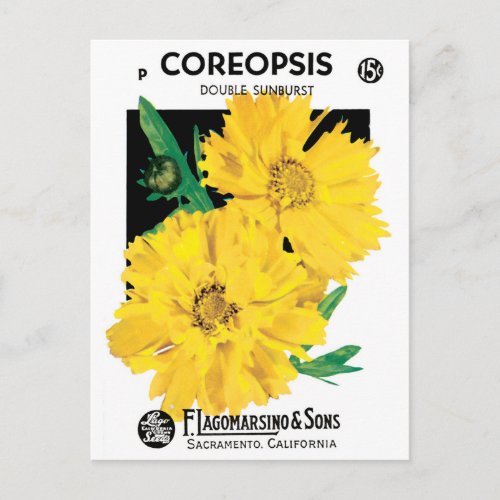 Vintage Seed Packet Art Yellow Coreopsis Flowers Postcard