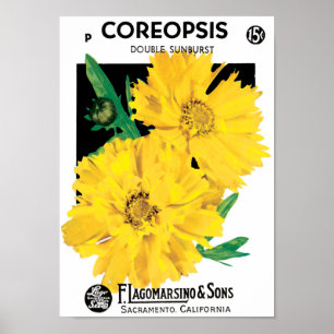 Vintage Seed Packet Art, Yellow Coreopsis Flowers Poster