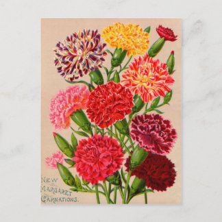Vintage Seed Packet Cards, Postage and Gifts Postcard