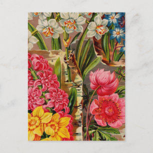 Vintage Seed Packet Catalog Cards, Postage, Gifts Postcard