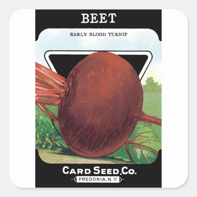 Vintage Seed Packet Label Art, Beet Vegetables (Front)