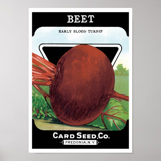 Vintage Seed Packet Label Art, Beet Vegetables Poster (Front)