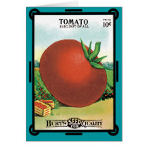 Vintage Seed Packet Label Art, Burt's Seed Tomato