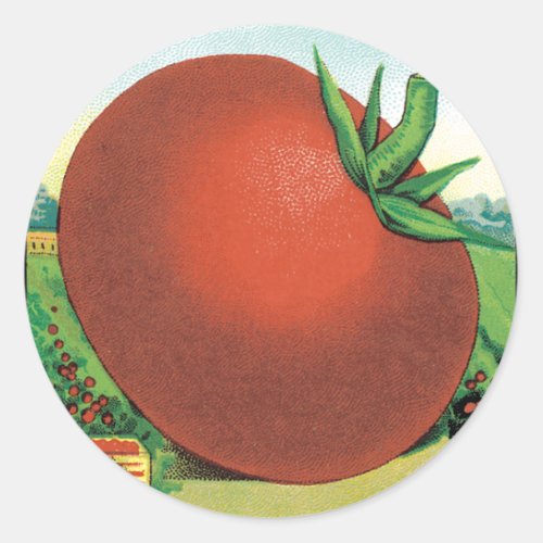 Vintage Seed Packet Label Art Burts Seed Tomato