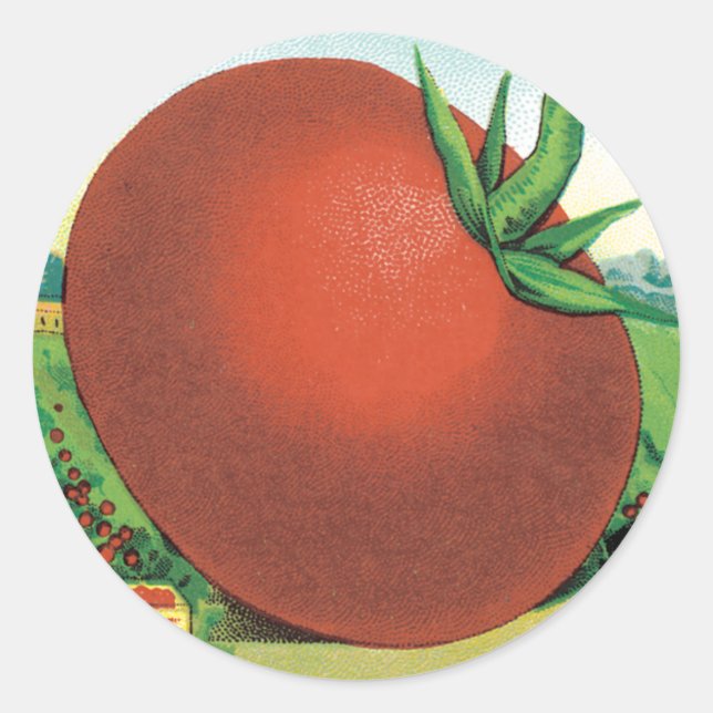 Vintage Seed Packet Label Art, Burt's Seed Tomato (Front)