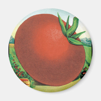 Vintage Seed Packet Label Art, Burt's Seed Tomato Magnet