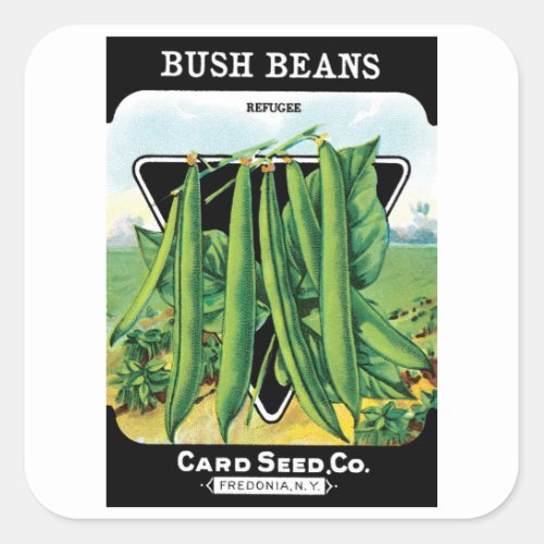 Vintage Seed Packet Label Art Bush Bean Veggies