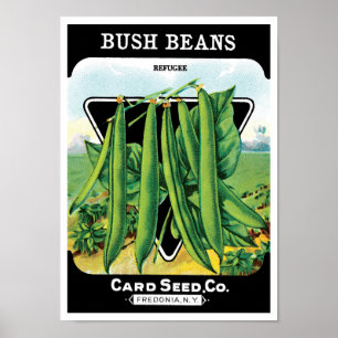 Vintage Seed Packet Label Art, Bush Bean Veggies Poster