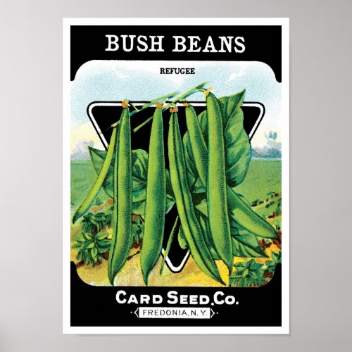 Vintage Seed Packet Label Art, Bush Bean Veggies