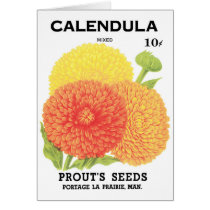 Vintage Seed Packet Label Art, Calendula Flowers