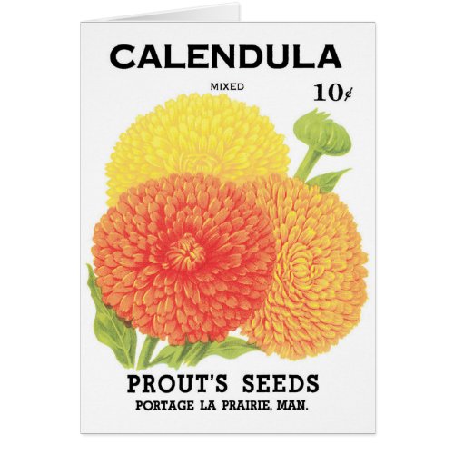 Vintage Seed Packet Label Art Calendula Flowers
