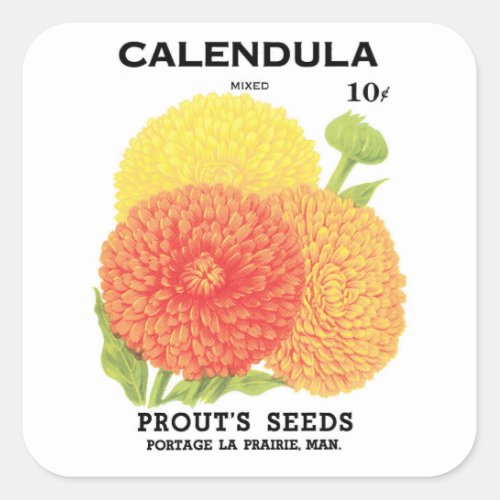 Vintage Seed Packet Label Art Calendula Flowers