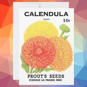 Vintage Seed Packet Label Art, Calendula Flowers
