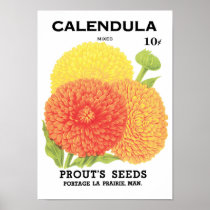 Vintage Seed Packet Label Art, Calendula Flowers