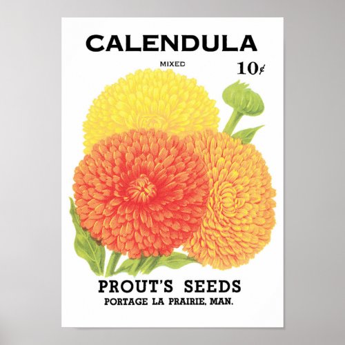 Vintage Seed Packet Label Art Calendula Flowers Poster