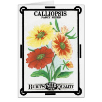 Vintage Seed Packet Label Art, Calliopsis Flowers