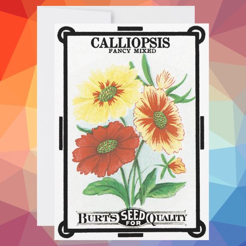 Vintage Seed Packet Label Art Calliopsis Flowers