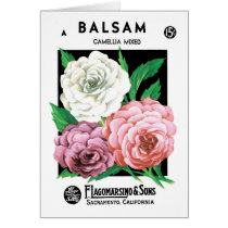 Vintage Seed Packet Label Art, Camellia Flowers