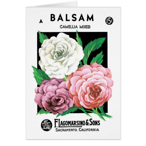 Vintage Seed Packet Label Art, Camellia Flowers