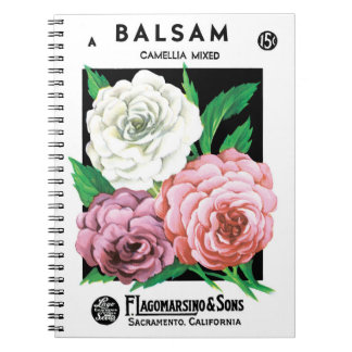 Vintage Seed Packet Label Art, Camellia Flowers Notebook