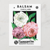 Vintage Seed Packet Label Art, Camellia Flowers