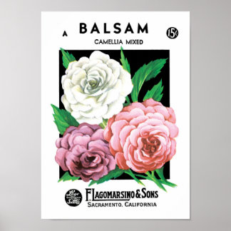 Vintage Seed Packet Label Art, Camellia Flowers Poster