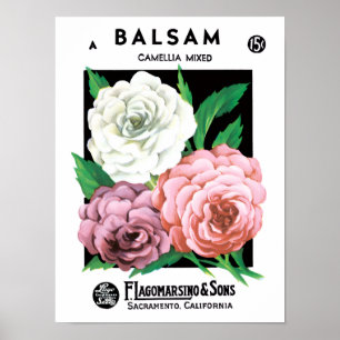 Vintage Seed Packet Label Art, Camellia Flowers Poster