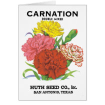 Vintage Seed Packet Label Art, Carnation Flowers