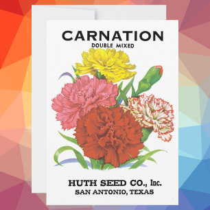 Vintage Seed Packet Label Art, Carnation Flowers