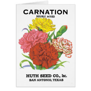 Vintage Seed Packet Label Art, Carnation Flowers Cards