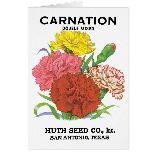 Vintage Seed Packet Label Art, Carnation Flowers Cards (Front)