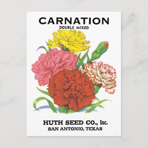 Vintage Seed Packet Label Art Carnation Flowers Postcard
