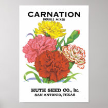 Vintage Seed Packet Label Art, Carnation Flowers