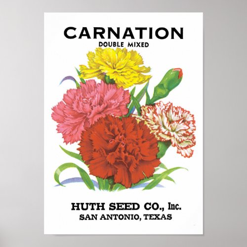 Vintage Seed Packet Label Art Carnation Flowers Poster