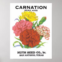 Vintage Seed Packet Label Art, Carnation Flowers