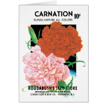 Vintage Seed Packet Label Art, Carnations Flowers