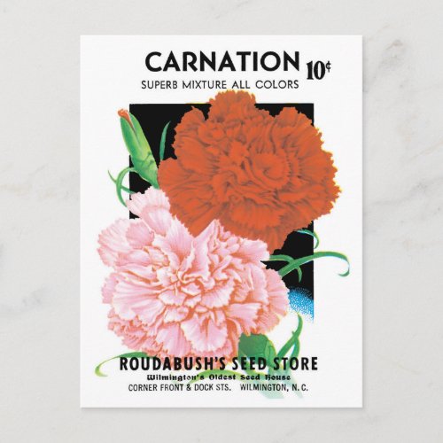Vintage Seed Packet Label Art Carnations Flowers Postcard