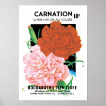 Vintage Seed Packet Label Art, Carnations Flowers