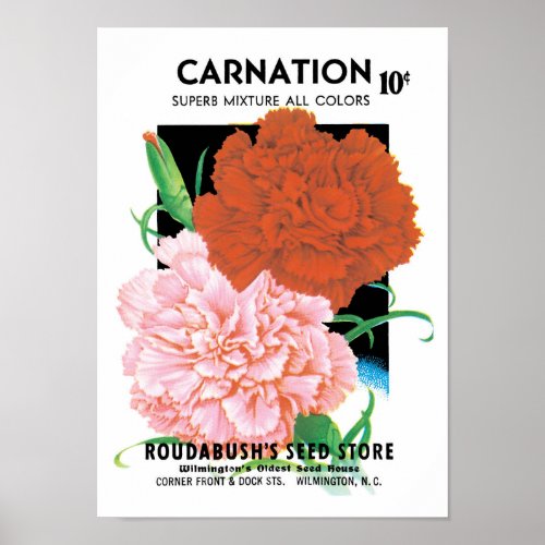 Vintage Seed Packet Label Art Carnations Flowers Poster