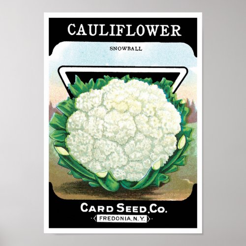 Vintage Seed Packet Label Art Cauliflower Veggies Poster