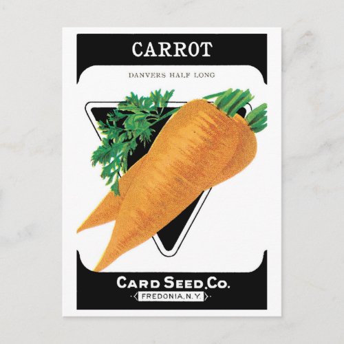 Vintage Seed Packet Label Art Danvers Carrots Postcard