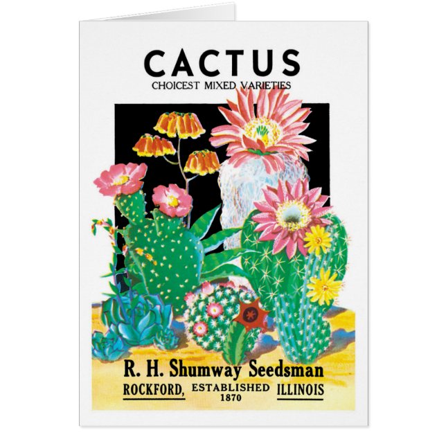Vintage Seed Packet Label Art Desert Cactus Plants (Front)