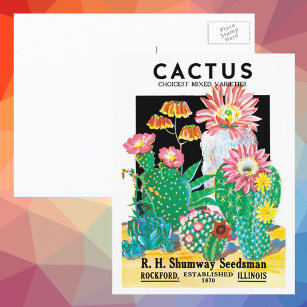 Vintage Seed Packet Label Art Desert Cactus Plants Postcard