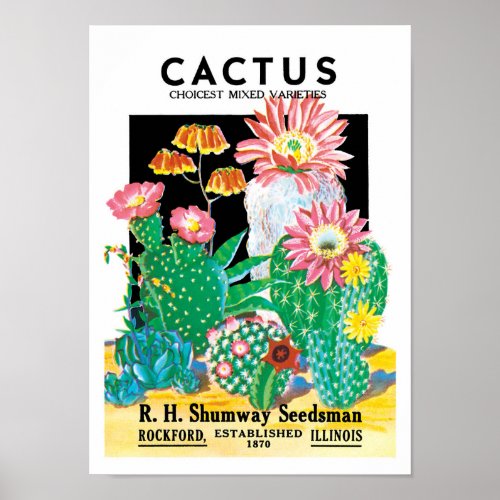 Vintage Seed Packet Label Art Desert Cactus Plants Poster