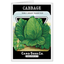 Vintage Seed Packet Label Art, Green Cabbage