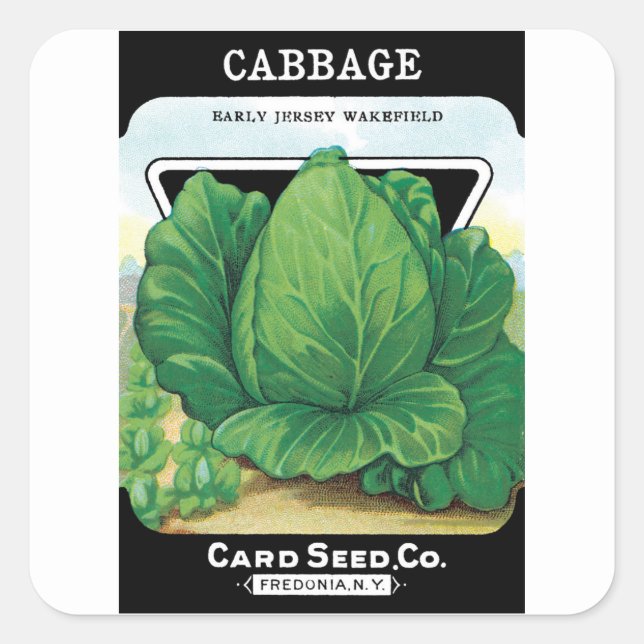 Vintage Seed Packet Label Art, Green Cabbage (Front)